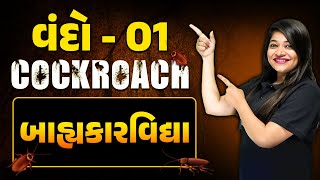 વંદો 01  Cockroach  બાહ્યકારવિદ્યા  Class 11thNEET [upl. by Salb]