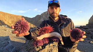 Eels and Uni Sea Urchin  Best Yield Ive Ever Seen [upl. by Heinrike]