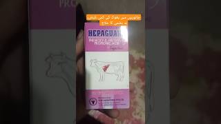 Liver tonichepatic failureindigestion constipationtympany treatment vet veterinary cow [upl. by Luedtke]