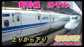 新幹線 のぞみ 新横浜駅 2024年9月23日 [upl. by Balbinder]