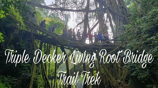 Triple Decker Living Root Bridge Trail Trek in ShillongMeghalaya [upl. by Quinton]