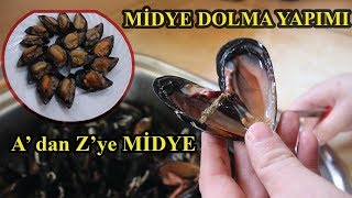 MİDYE HAKKINDA HERŞEY MİDYE DOLMA YAPIMI [upl. by Mossberg]