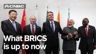 BRICS How an acronym from Goldman Sachs morphed into a strategic economic bloc [upl. by Meenen]