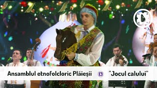 Ansamblul etnofolcloric Plăieșii  Jocul calului [upl. by Ravens602]