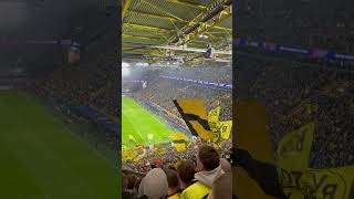 BVB Dortmund  Sturm Graz Die Gelbe Wand Sarı Duvar [upl. by Betteann]