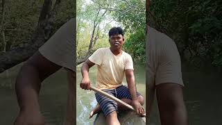 There was a snake in this treeforyou nature new shortvideo travel snake sundarban [upl. by Htederem]