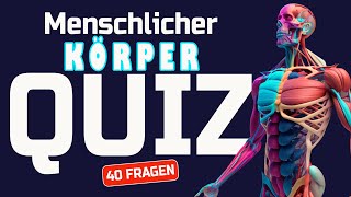 Allgemeinwissen Körper  Der Menschliche Körper Quiz  40 Fragen zu Medizin und Gesundheit [upl. by Mahla343]