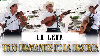 LA PASION  TRIO DIAMANTES DE LA HUASTECA [upl. by Leban]