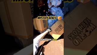 I found mystery boxes full in the dumpster dumpsterdiving toys shorts toy [upl. by Nalo568]