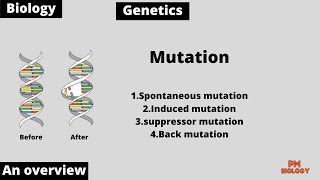 Mutation  Types of Mutation  Genetics  PM Biology [upl. by Jany]