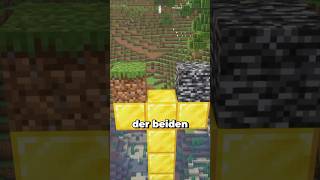 Die Größten UNTERSCHIEDE von Minecraft Java und Bedrock… minecraft minecraftshorts maggus [upl. by Lareena98]