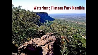 WATERBERG PLATEAU PARK NAMIBIA SOUTHERN ARICA  НАЦИОНАЛЬНЫЙ ПАРК ВАТЕРБЕРГ ПЛАТО НАМИБИЯ АФРИКА [upl. by Fabria]