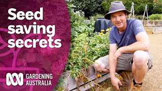 Learn these seed saving secrets  Gardening hacks  Gardening Australia [upl. by Lyrradal604]