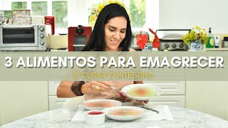 3 ALIMENTOS PARA CURAR O INTESTINO E EMAGRECER  Thais Araújo Psiconutri [upl. by Neyrb338]