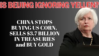 China Cut US Corn Imports and Sell US Debt While Stockpiling Gold – WASHINGTON SCARED [upl. by Cortney]