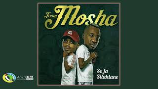 Team Mosha  Sebono Se Stout Feat Tsibibi Official Audio [upl. by Eicnan]