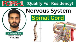 FCPS1  Nervous System  Spinal Cord  Anatomy of Spinal Tracks Blood Supply [upl. by Polad]