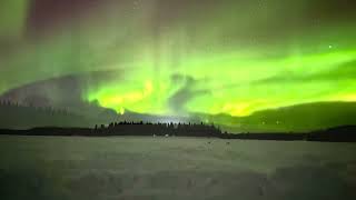 The Best Northern Lights in Fairbanks Alaska [upl. by Salvay]