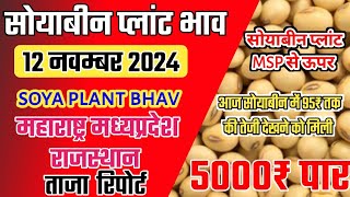 सोयाबिन प्लांट भाव 12 November 2024 Soyabean plant bhav soya Plant bhav todaysoybean price today [upl. by Lura]