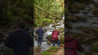 Wicklow autumn photography tour Ireland landscapephotography outdoorphotography autumn [upl. by Eilssel]