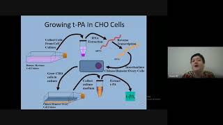 Tissue Plasminogen Activator [upl. by Viehmann170]