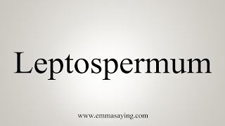 How To Say Leptospermum [upl. by Adaha]