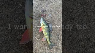 I want my daddy fishing fish bassfishing bass [upl. by Elrebmik]