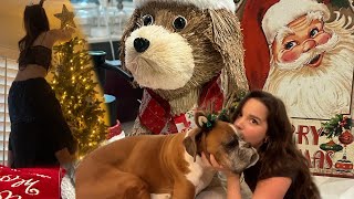 decorating for christmas vlog  Jules LeBlanc [upl. by Mcmillan]