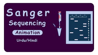 Sanger Sequencing  DNA sequencing  Dideoxy method of DNA sequencing  Animation [upl. by Edmonda]