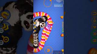 🐍WormsZoneio ❤️001 Slither Snake Top 01 Best World Record Snake Epic cacing Wormszoneio wormszone [upl. by Nodle]