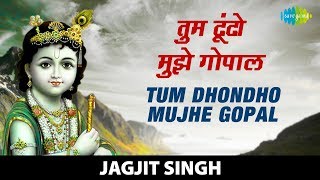 Tum Dhondho Mujhe Gopal  तुम ढूंढो मुझे गोपाल  Krishna Bhajan  कृष्णा भजन Jagjit Singh [upl. by Griffis]