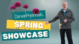 Darwin Darwin Perennials Spring Showcase 4k [upl. by Glanti]