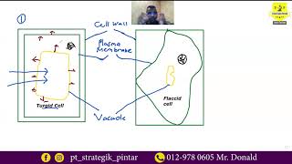 Turgid and Flaccid Plant Cell [upl. by Gunn]