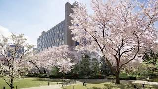 Prince Sakura Tower Tokyo Hotel  Hotel Tour [upl. by Ahsyas]