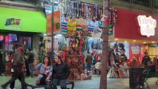 centro de Tijuana baja California México [upl. by Naimerej466]