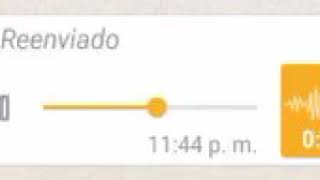 Audio de grupos de whatsApp [upl. by Hanny]