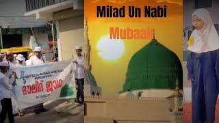 Milad Un Nabi 2024  Nabidinam  Nascafe2021nas [upl. by Ahsinak]