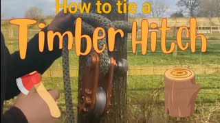 How to tie the Timber Hitch Great for Rigging  Arborist Knots [upl. by Orestes]