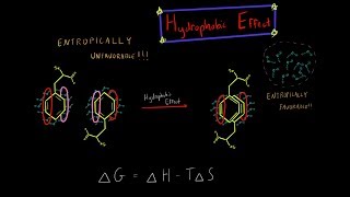 The Hydrophobic Effect and Entropy Biochemistry MADE SUPER SIMPLE [upl. by Waldron711]