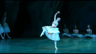 Tiber River Variation from Pharaohs Daughter Mariinsky Theatre  Shamala Guseinova [upl. by Asiak]