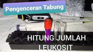 Praktikum Hematologi Hitung Jumlah Leukosit Pengenceran Tabung cara Kamar Hitung [upl. by Narok]