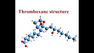 Thromboxane Structure and functions  2024 [upl. by Enelrats]