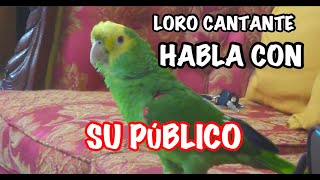 LORO CANTANDO HABLA CON SU PUBLICO [upl. by Anir]