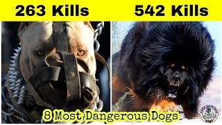 உலகின் ஆபத்தான நாய் இனங்கள்  8 Most Dangerous Dogs  Tamil Wonders [upl. by Brandi]