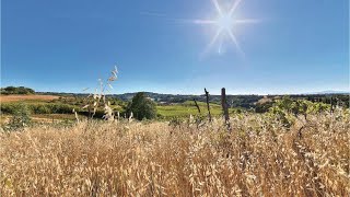 Virginia Podere Moricci Montaione Italy [upl. by Mansur439]