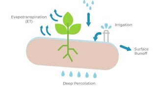 EVAPOTRANSPIRATION  Causes  Advantages  Disadvantages  issue SDG ClimateChange GlobalWarming [upl. by Ajiram369]