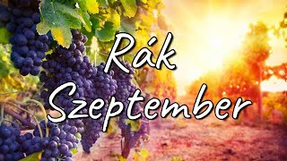 Rák Szeptember 2020 Tarot [upl. by Akisey]