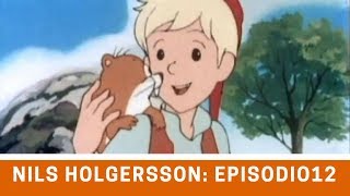 Nils Holgersson  Episodio 12 Finapluma [upl. by Birdella394]