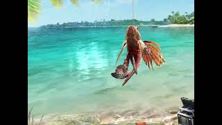 FISHING CLASH LEVEL 2  FLORIDA COAST [upl. by Ennayelsel508]