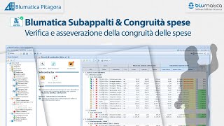 Verifica e asseverazione della congruità delle spese [upl. by Kronfeld263]